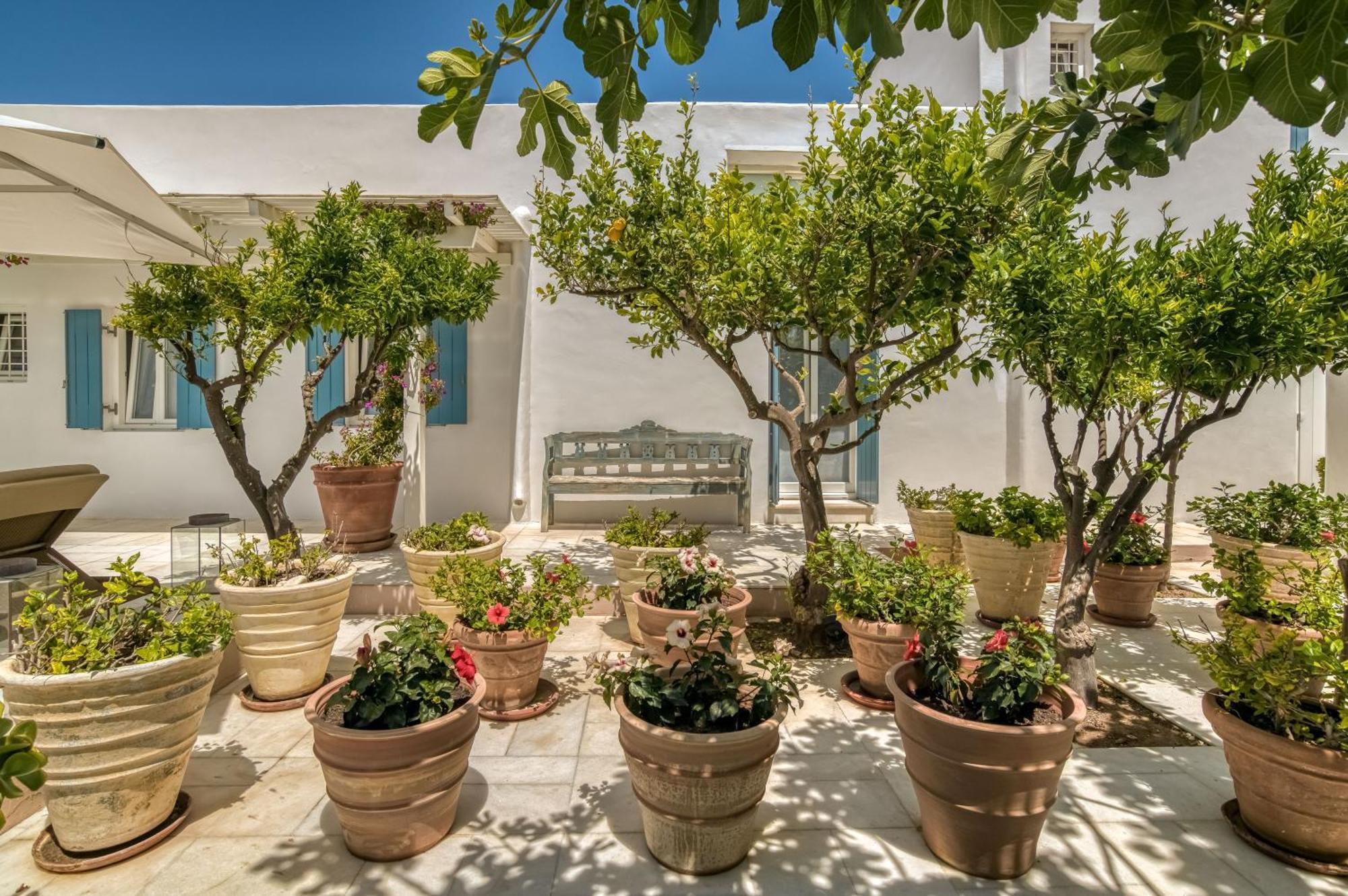 Villa Bellonia Naousa  Exterior photo
